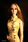 [Gold Cheongsam]