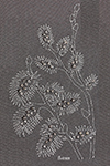 [Discophelia]